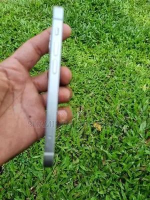Apple iPhone 13 mini condition 100 (Used)