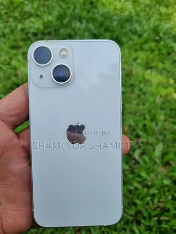 Apple iPhone 13 mini condition 100 (Used)