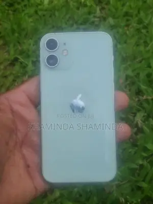 Apple iPhone 12 mini condition 100 (Used)