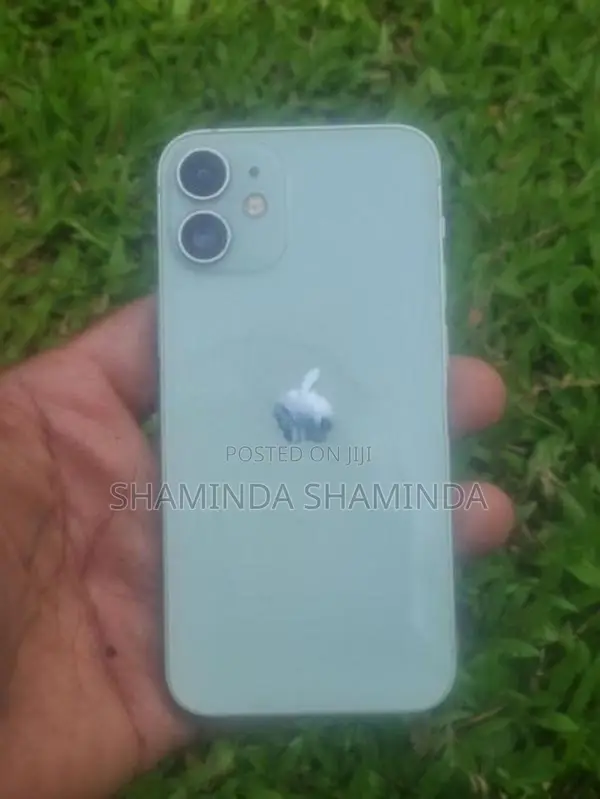 Apple iPhone 12 mini condition 100 (Used)