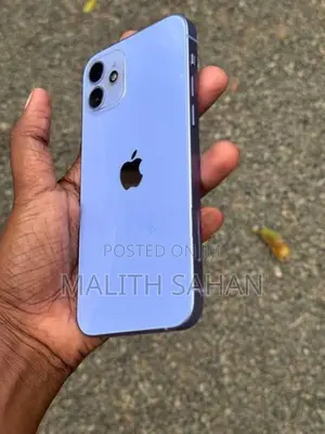 Apple iPhone 12 (Used)
