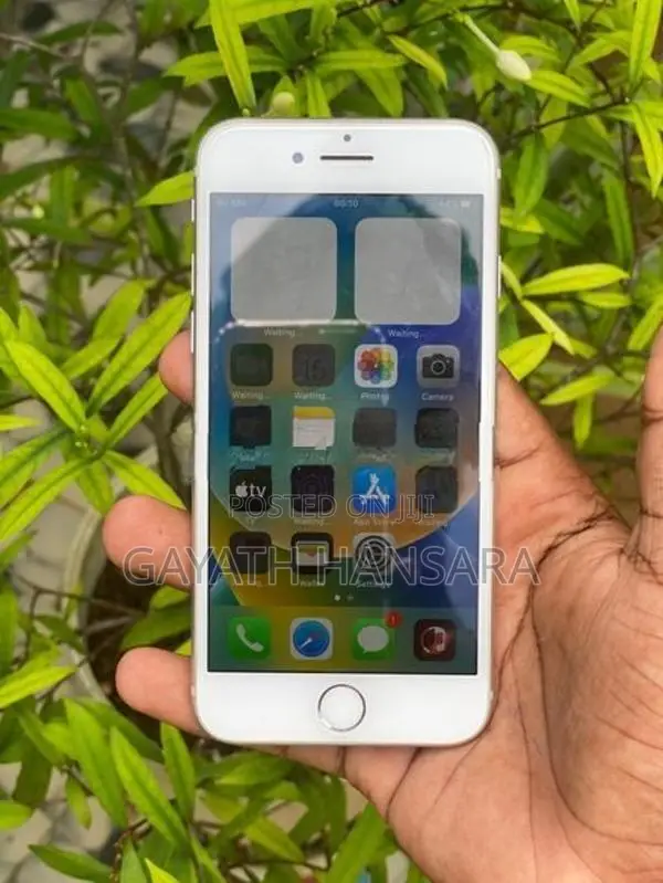 Apple iPhone 8 (Used)