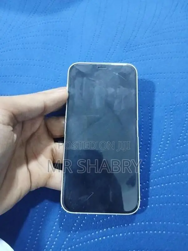 Apple iPhone 12 mini (Used)