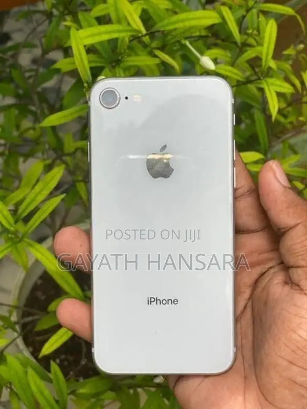 Apple iPhone 8 (Used)