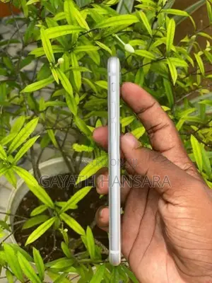 Apple iPhone 8 (Used)