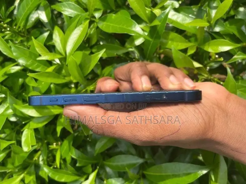 Apple iPhone 12 mini i phone 😍 (Used)