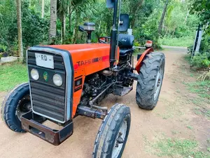 TAFE 45DI 2013 Tractor (Used)