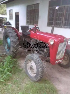 Massey-Ferguson IMT533 1979 Tractor (Used)