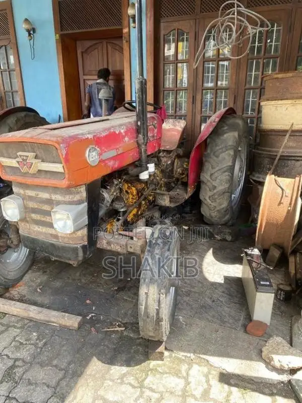 Massey-Ferguson 135DL 1980 Tractor (Used)