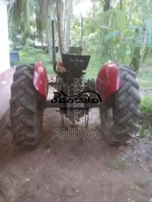 Massey-Ferguson IMT533 1979 Tractor (Used)