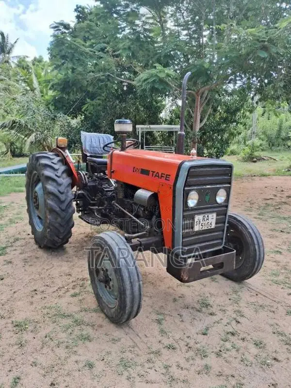 TAFE 45Di 2008 Tractor (Used)