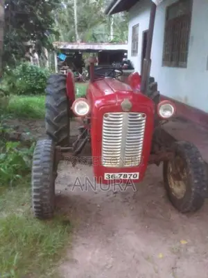 Massey-Ferguson IMT533 1979 Tractor (Used)