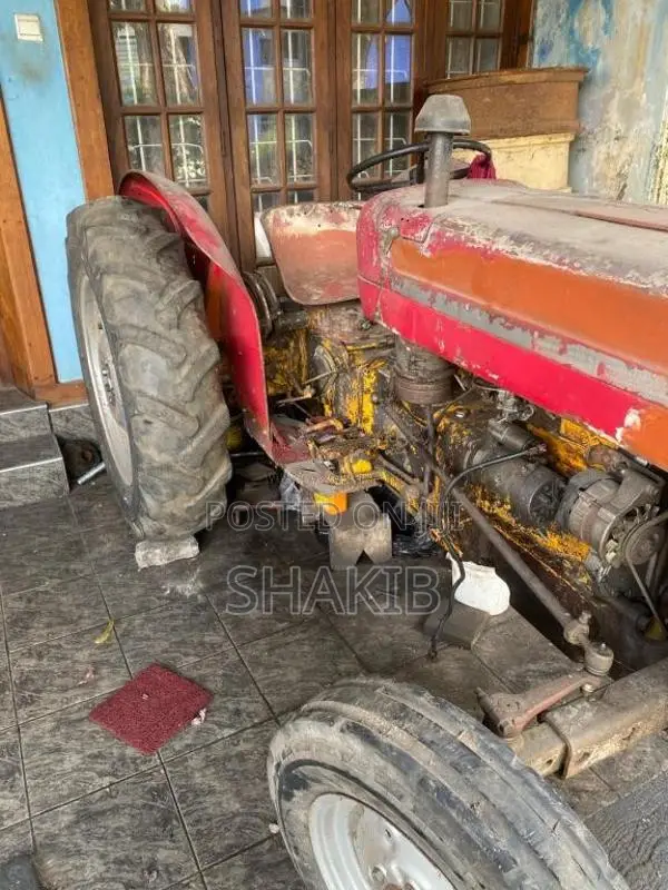 Massey-Ferguson 135DL 1980 Tractor (Used)
