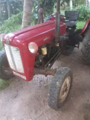 Massey-Ferguson IMT533 1979 Tractor (Used)