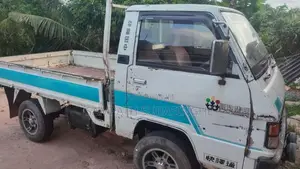 Mitsubishi Delica 1987 Crew Cab (Used)