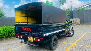 Tata 207 2011 Pickup (Used)