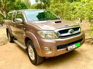 Toyota Hilux Vigo 2009 Pickup (Used)