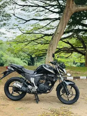 Yamaha FZ 2015 Motorbike (Used)