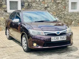 Toyota Axio 2014 Car (Used)