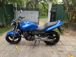 Honda Hornet 2008 Motorbike (Used)