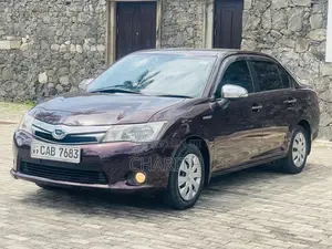 Toyota Axio 2014 Car (Used)