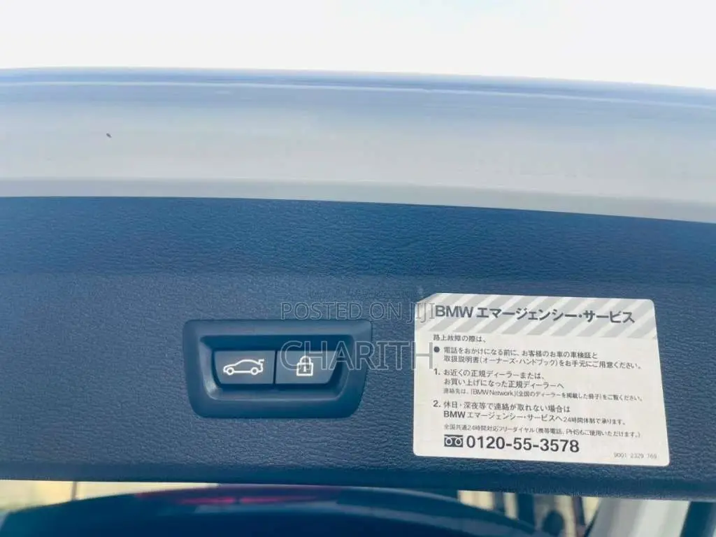 BMW X1 2019 SUV (Used)