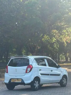 Suzuki Alto 2015 Car (Used)