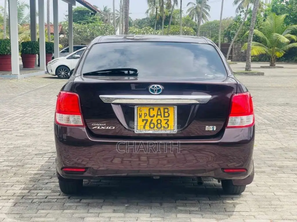 Toyota Axio 2014 Car (Used)