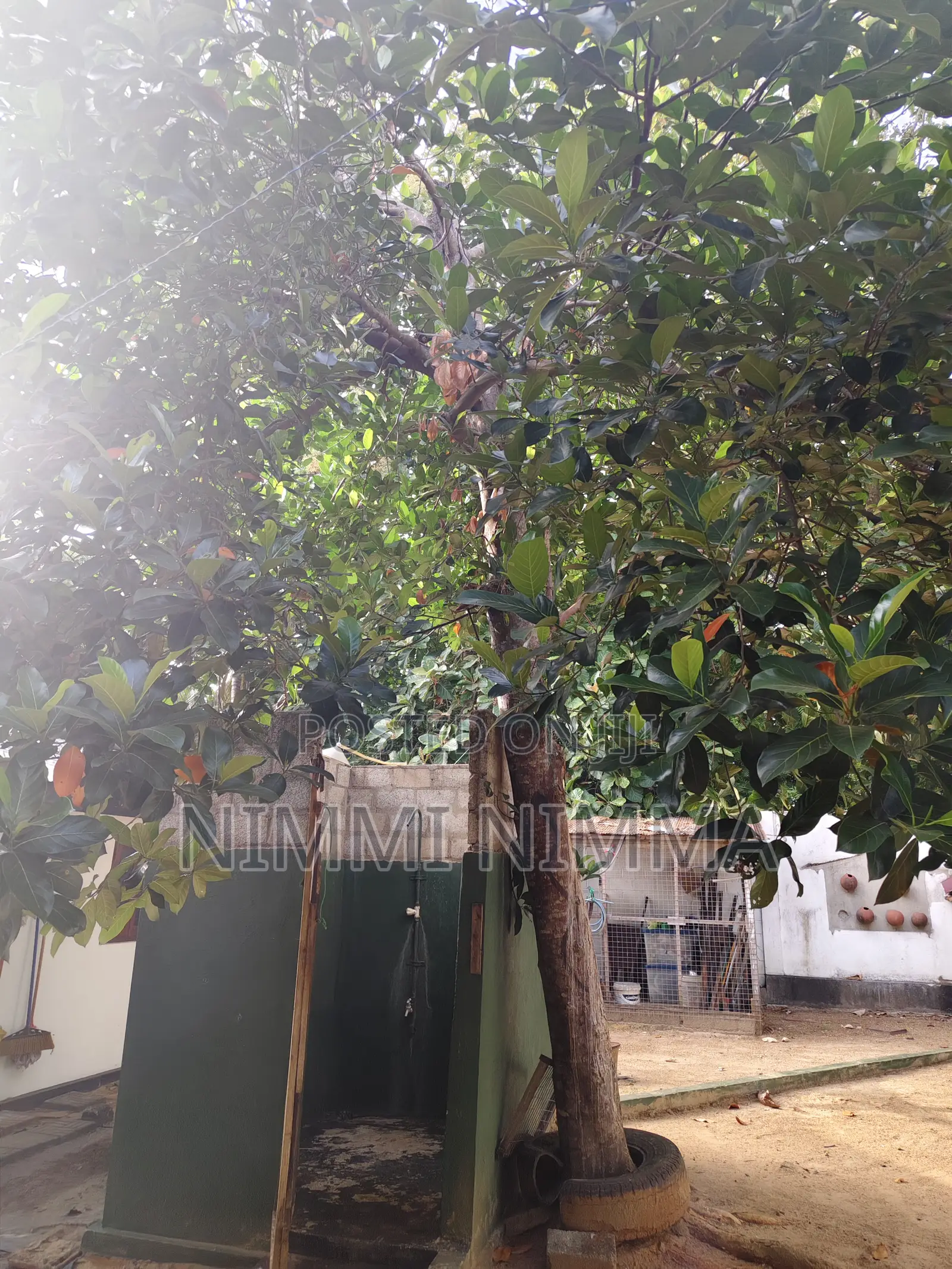 3bdrm House in Punchiwilluwa, Puttalam City for sale