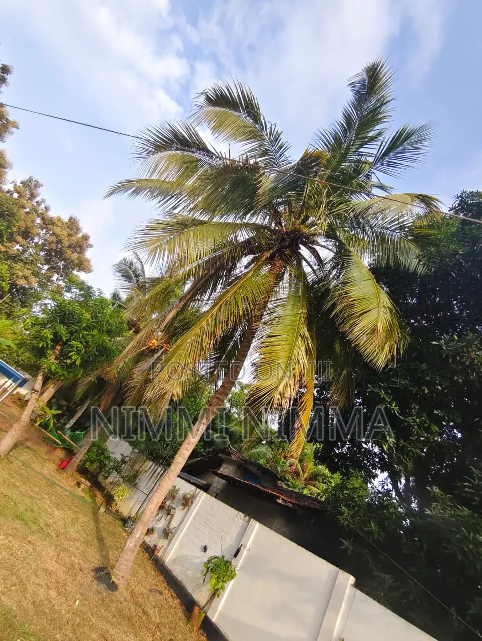 3bdrm House in Punnchiwillu, Puttalam City for sale