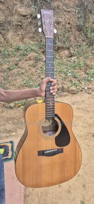 F310 Brand Nive Candishan