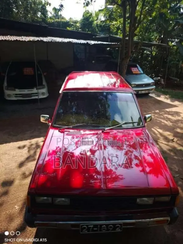Nissan Nissan 1981 Pickup (Used)