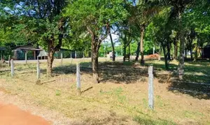 අනුරාධපුර පූජා නගරයෙන් සින්නක්කර ඉඩමක් විකිණීමට