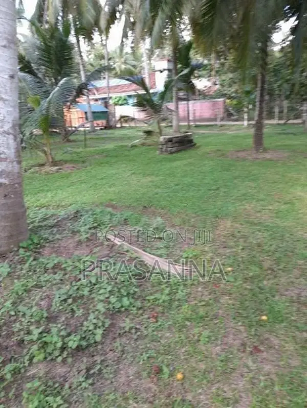 Land for Sale in Kochchikade