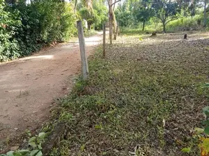 Land for sale in Dambulla