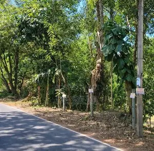 Land for Sale in Sirimalwatta Kandy 21.9 Perches