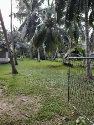 Land for Sale in Kochchikade