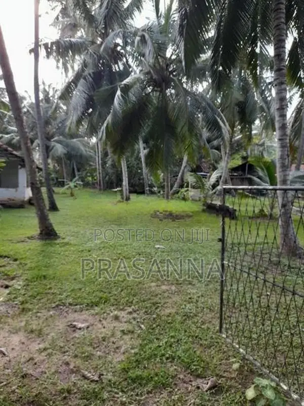 Land for Sale in Kochchikade