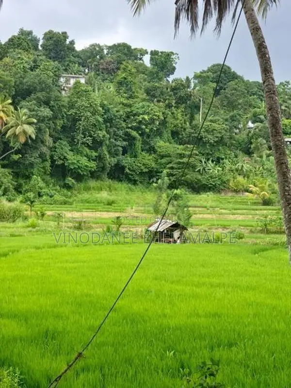 Land for Sale Mawanella