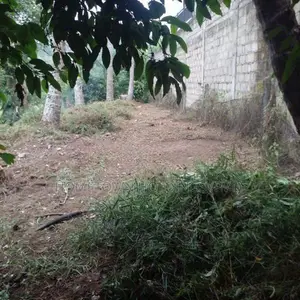 Kundasale Land for Sale