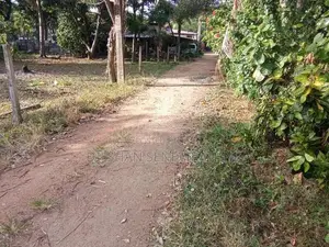 Land for sale in Dambulla