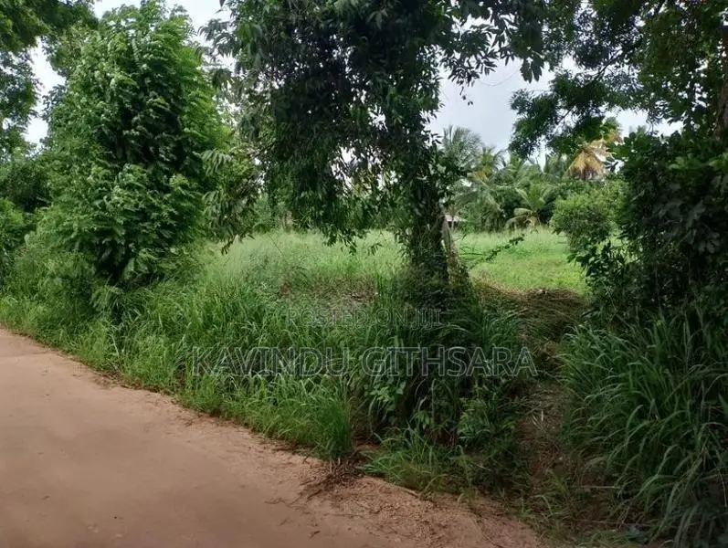 Land for Sale in Melsiripura Kurunegala