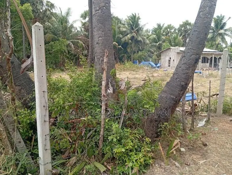 A9 Land for Sale in Meesalai North