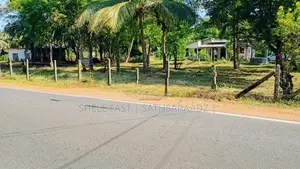 අනුරාධපුර පූජා නගරයෙන් සින්නක්කර ඉඩමක් විකිණීමට