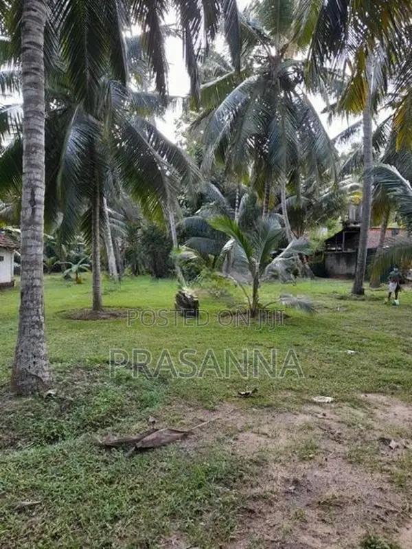 Land for Sale in Kochchikade