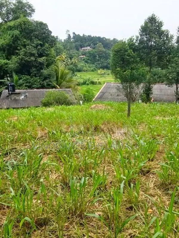 Land for Sale Mawanella