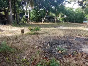 Land for sale in Dambulla
