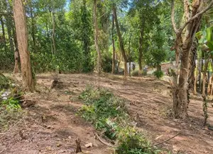 Land for Sale in Sirimalwatta Kandy 21.9 Perches