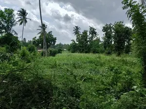 Land for Sale in Melsiripura Kurunegala
