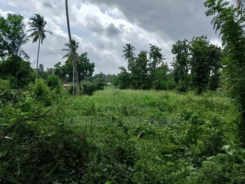Land for Sale in Melsiripura Kurunegala